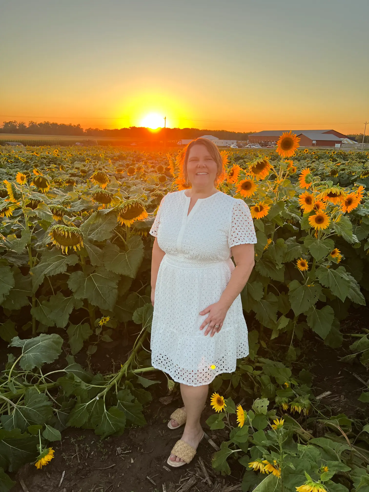 Abounding Peace Counseling, Sunflower patch Abounding Peace Counseling Office